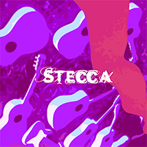 L'album di Stecca su Spotify